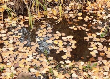 Being Prepared for Mountain Winter Image